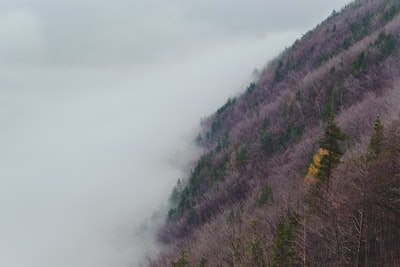 多雾的山在白天
